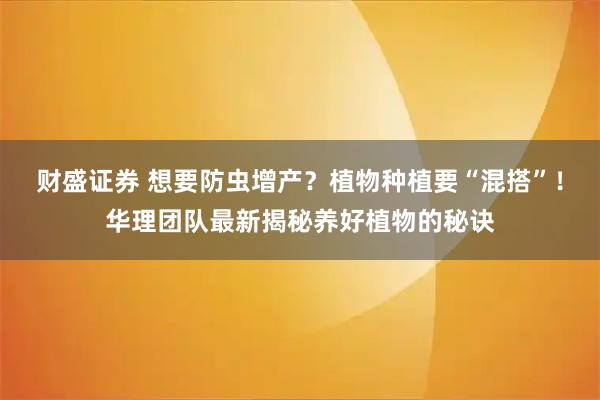 财盛证券 想要防虫增产？植物种植要“混搭”！华理团队最新揭秘养好植物的秘诀
