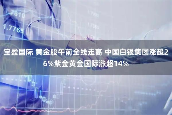 宝盈国际 黄金股午前全线走高 中国白银集团涨超26%紫金黄金国际涨超14%